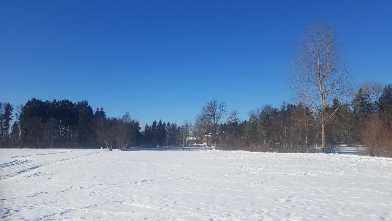 Fewo Engelberg Daire Bad Dürrheim Dış mekan fotoğraf